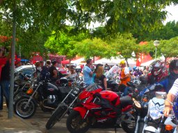 XIX Concentracion - 2012